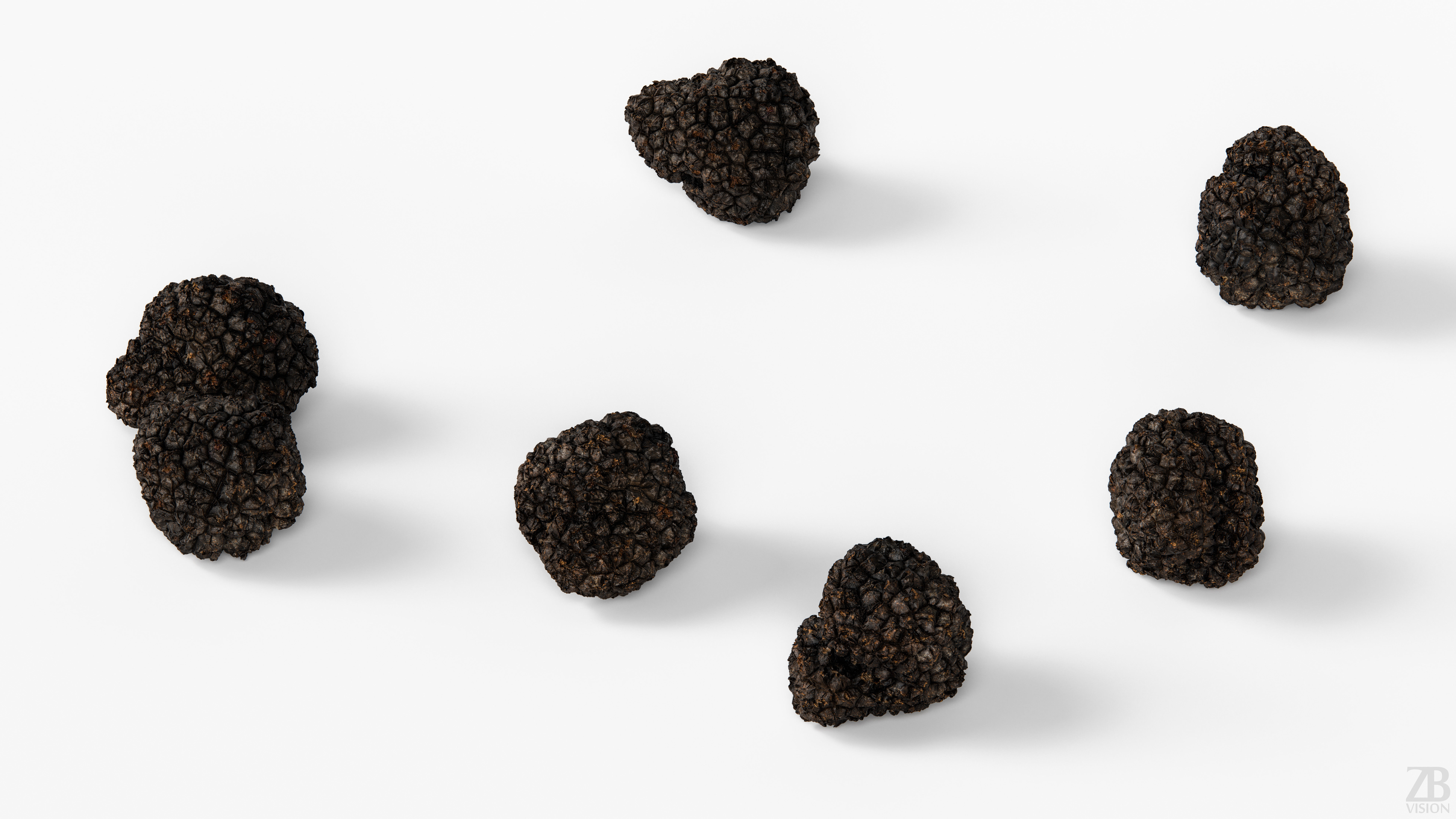 Truffle 3D model_2
