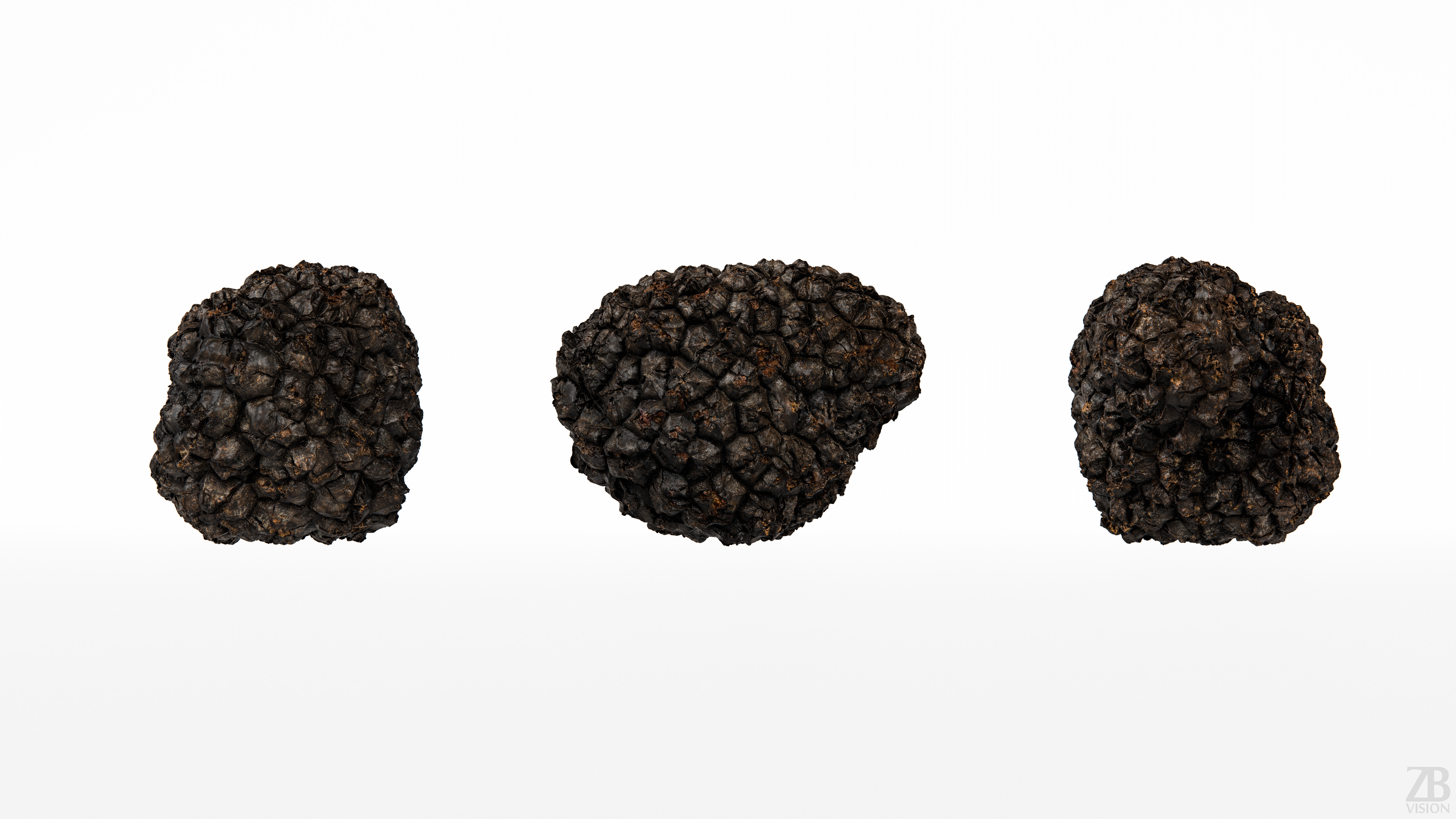 Truffle 3D model_4