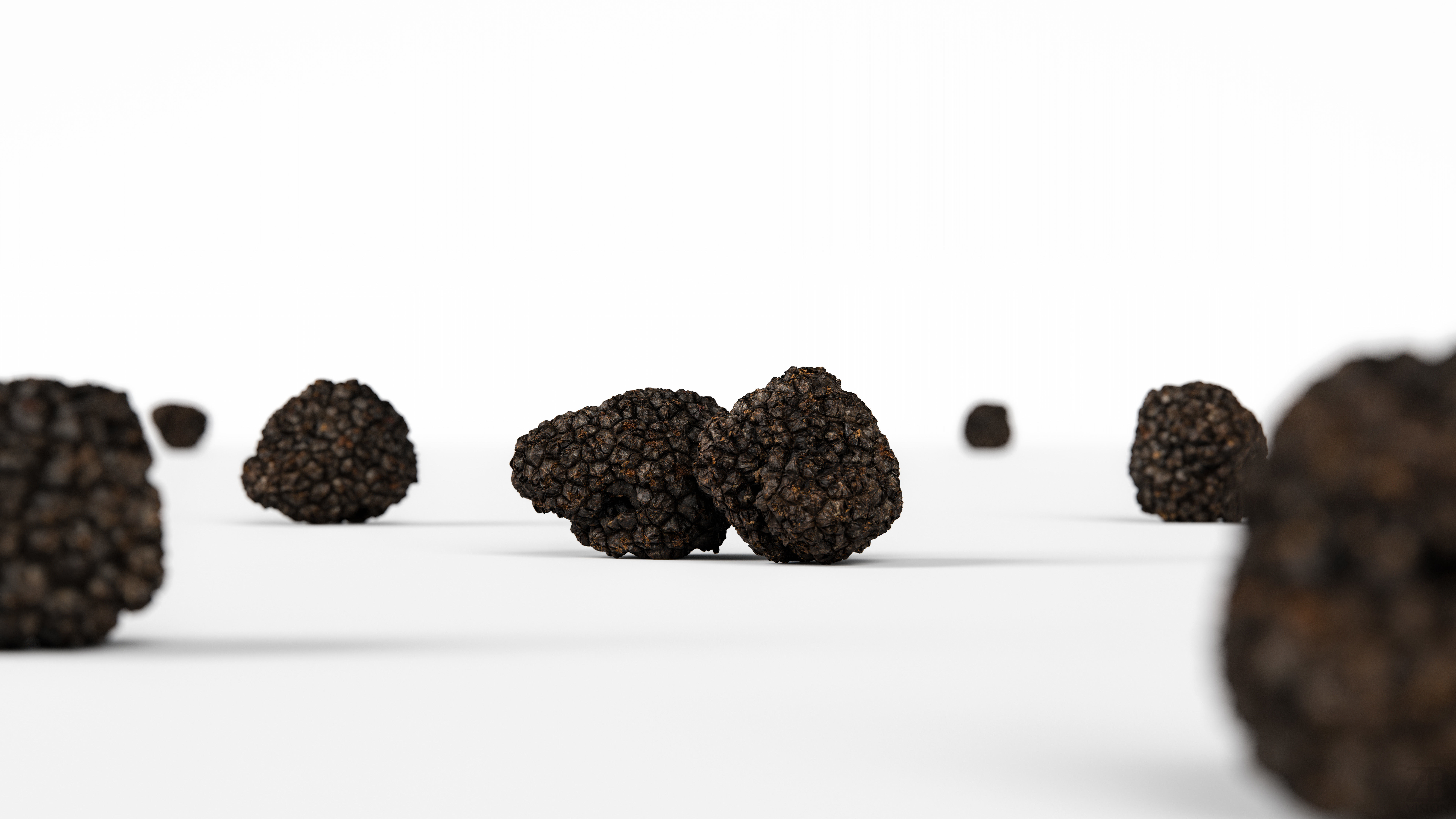 Truffle 3D model_1