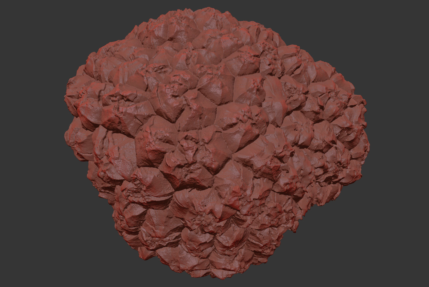 Truffle 3D model_7