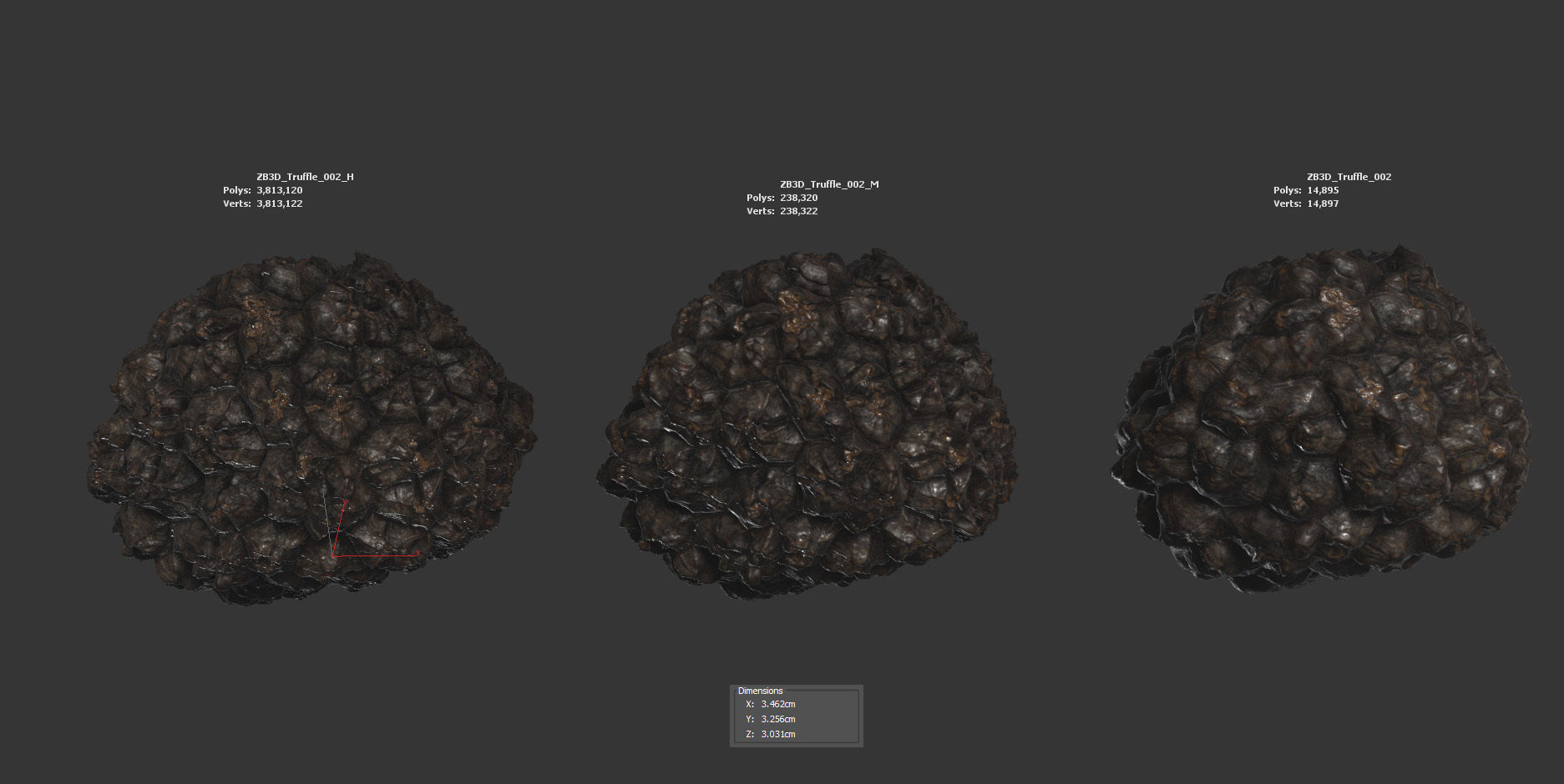 Truffle 3D model_5