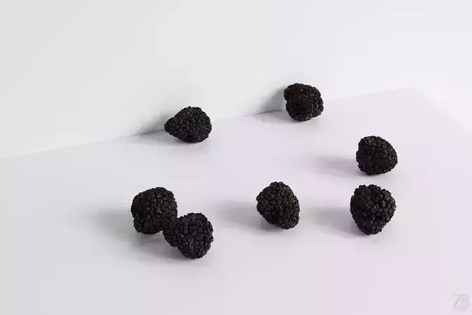 Truffle 3D model