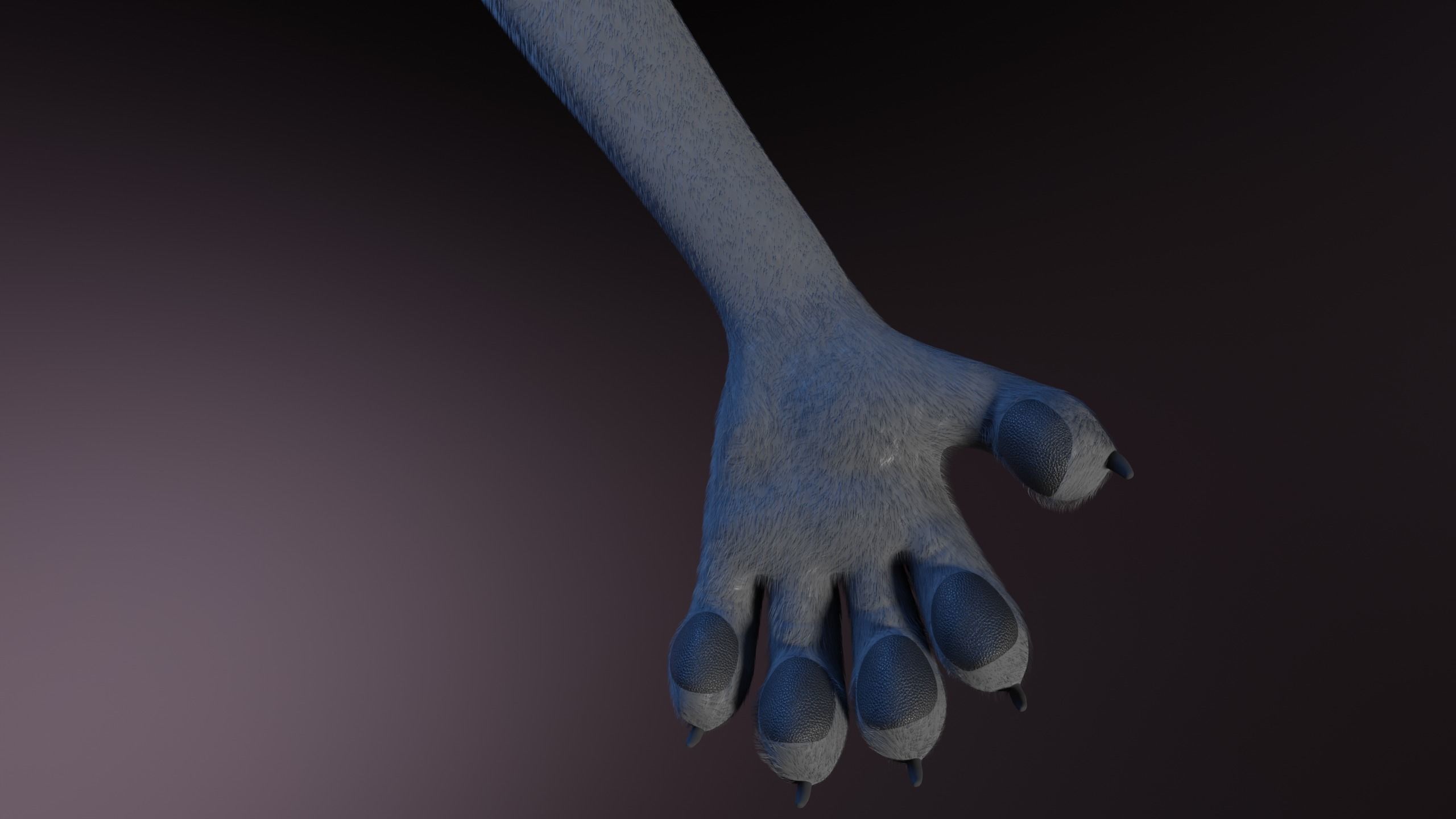 Claire Anthro Wolf 3D model_13