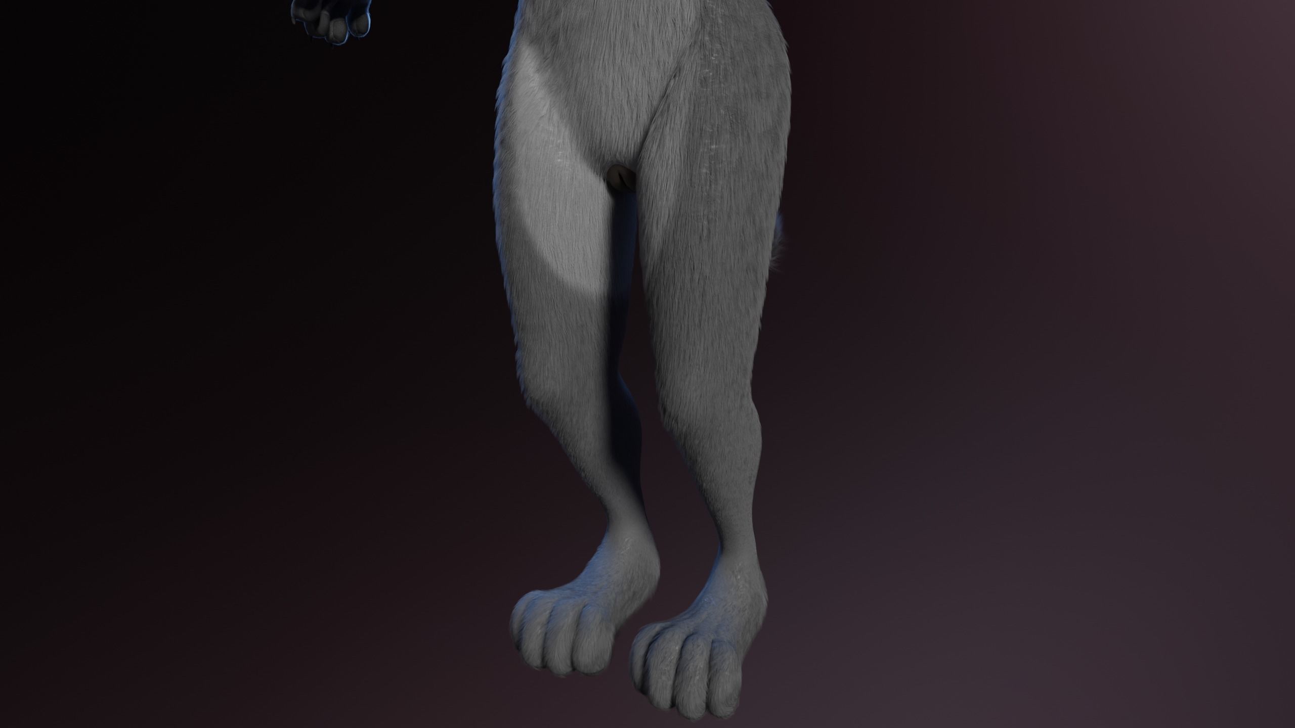 Claire Anthro Wolf 3D model_9