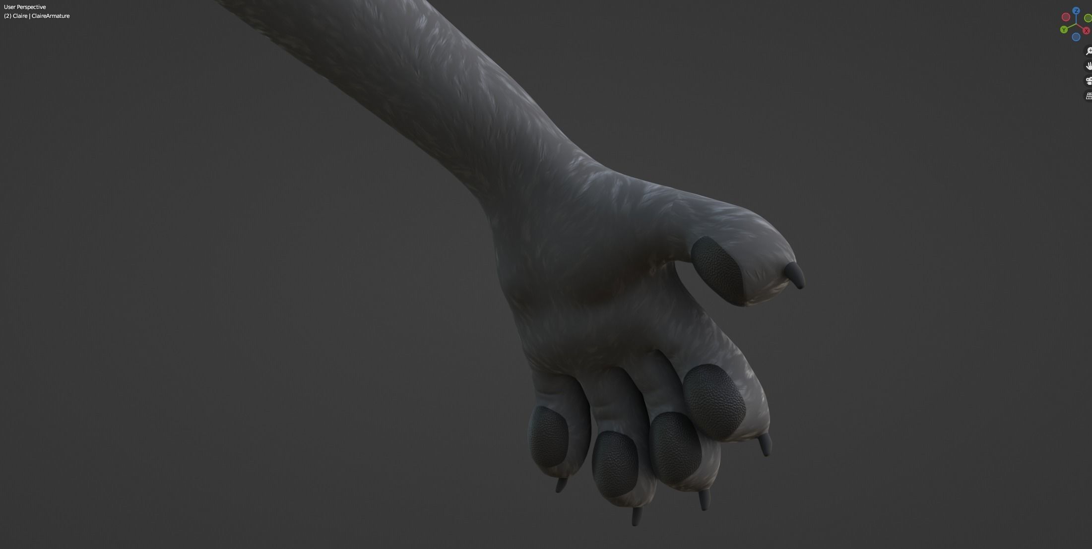 Claire Anthro Wolf 3D model_56