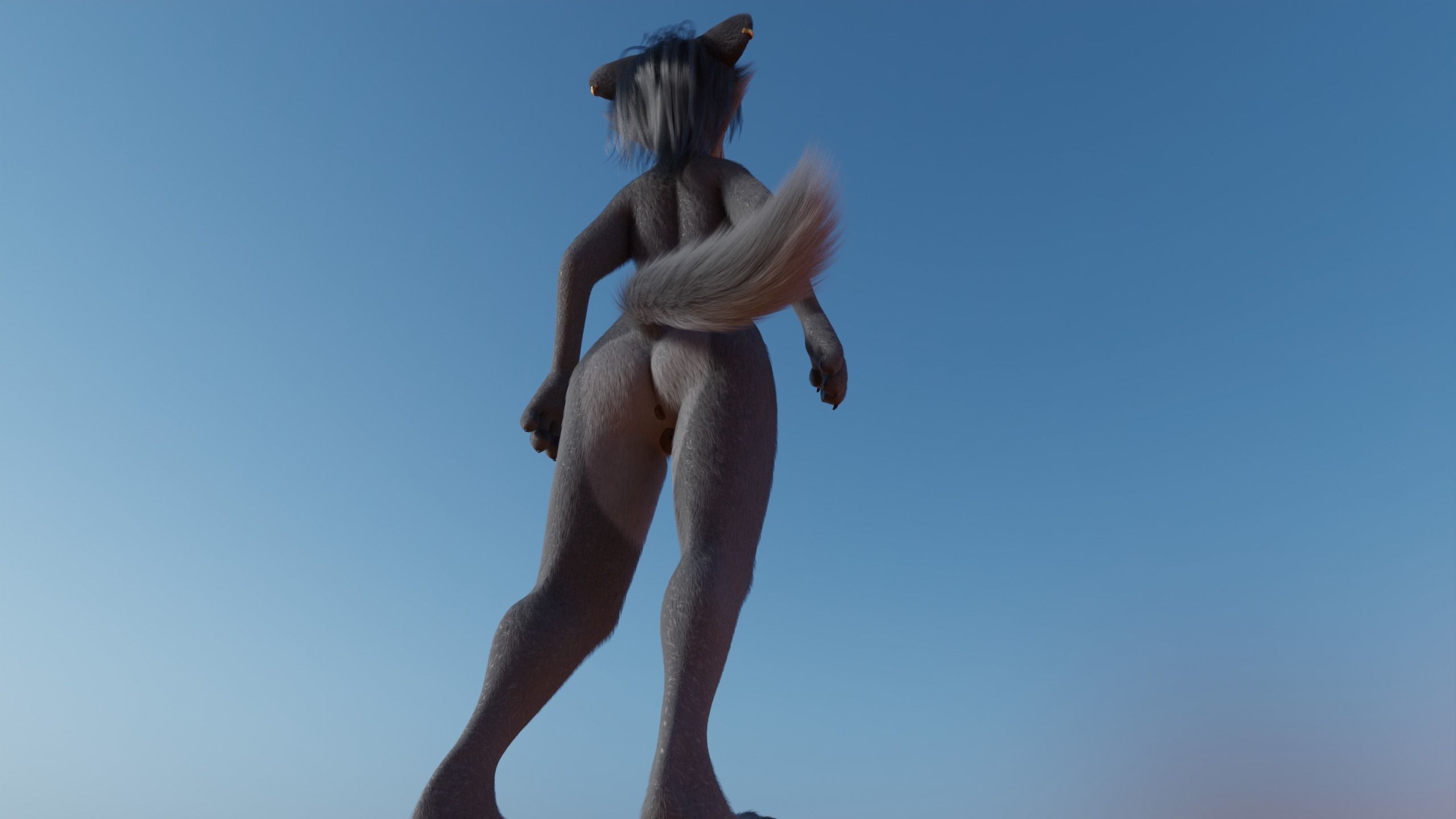 Claire Anthro Wolf 3D model_23
