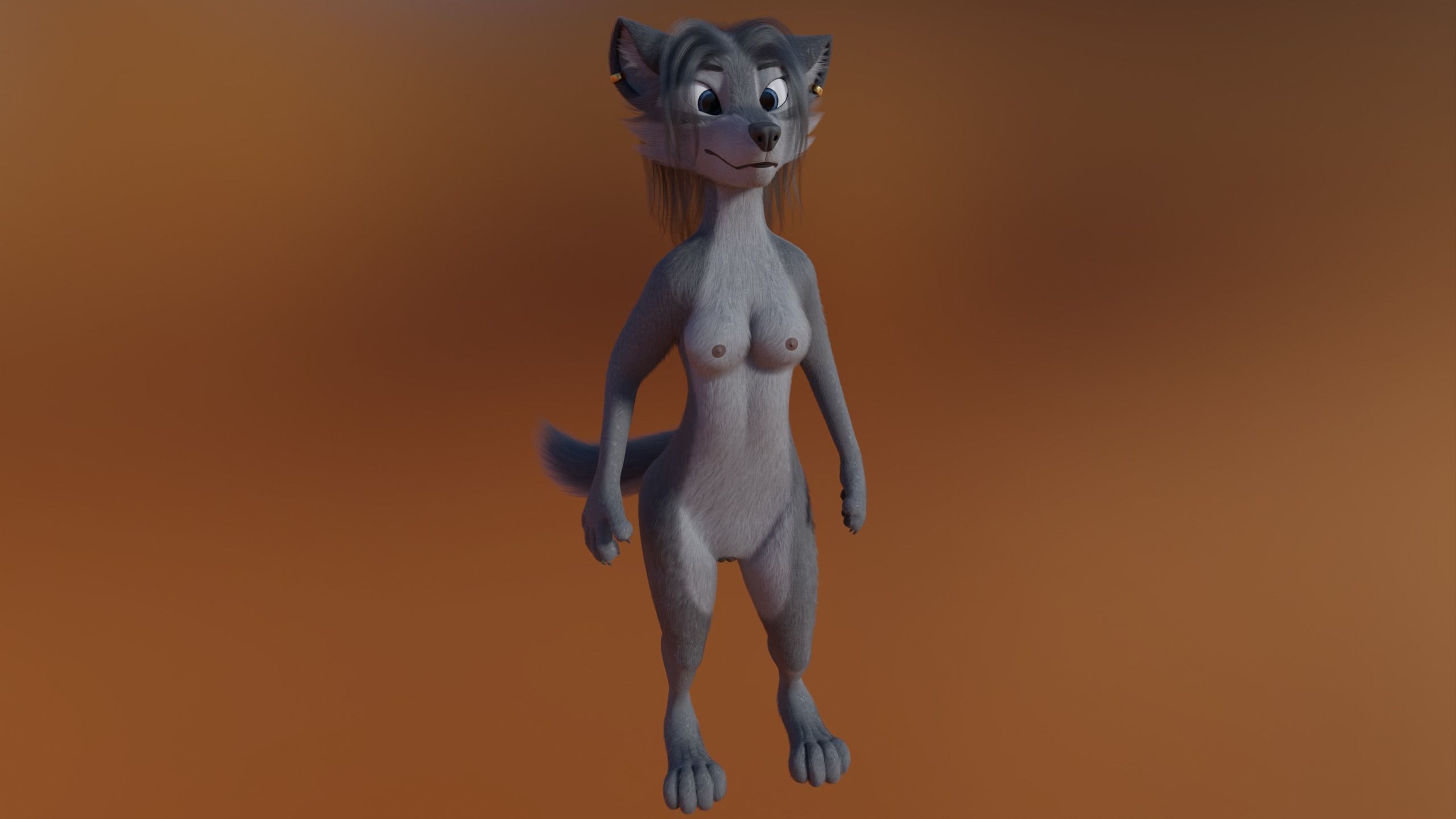 Claire Anthro Wolf 3D model_19