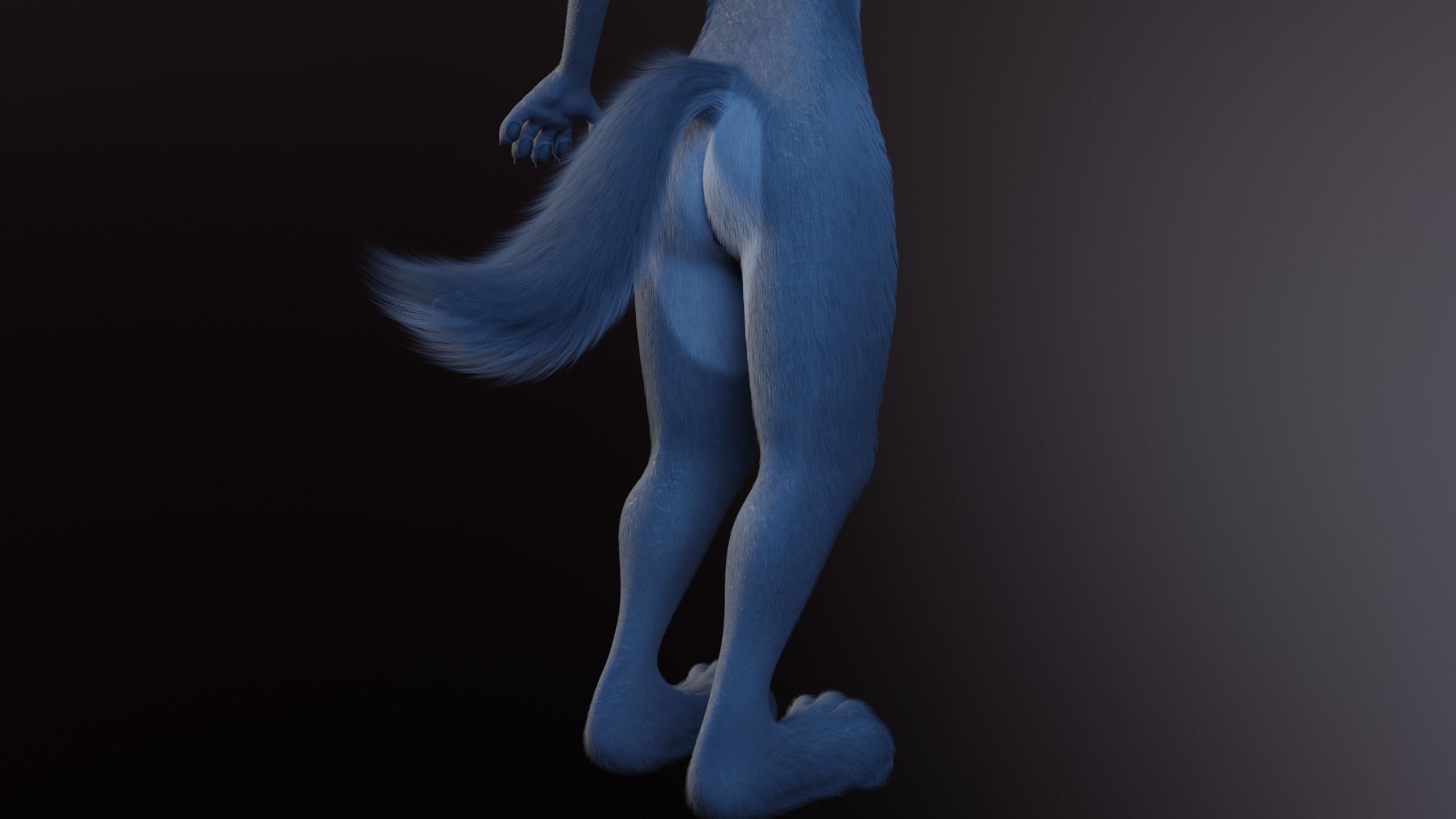 Claire Anthro Wolf 3D model_10