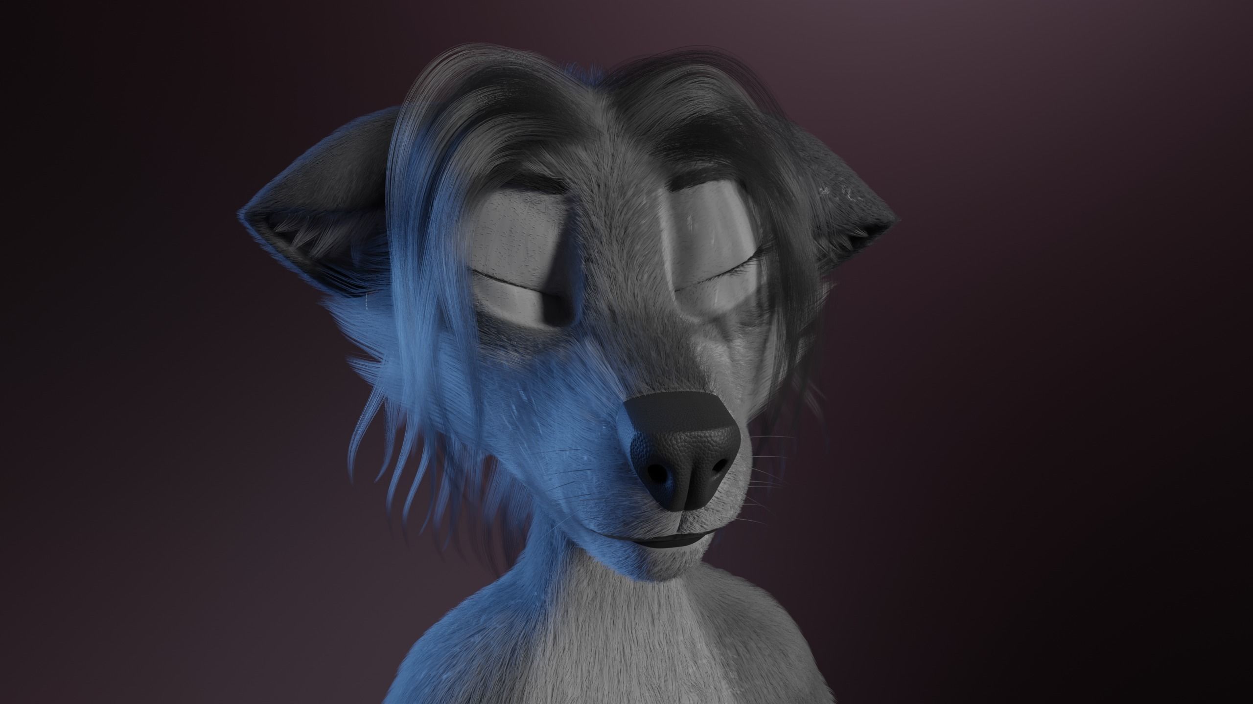 Claire Anthro Wolf 3D model_35