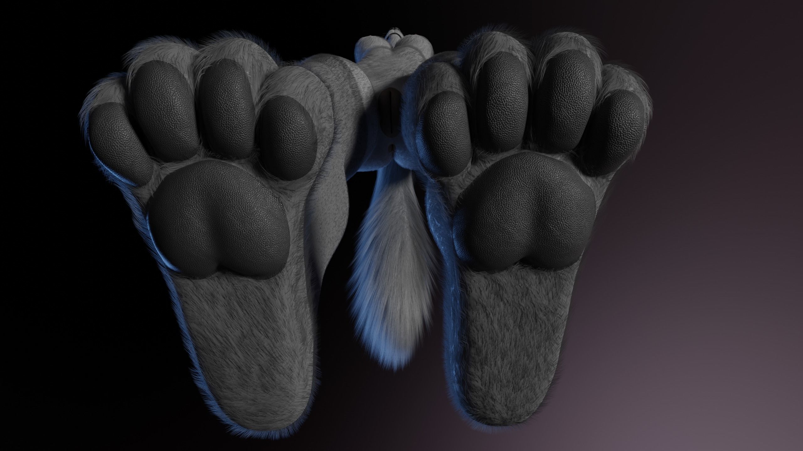 Claire Anthro Wolf 3D model_15