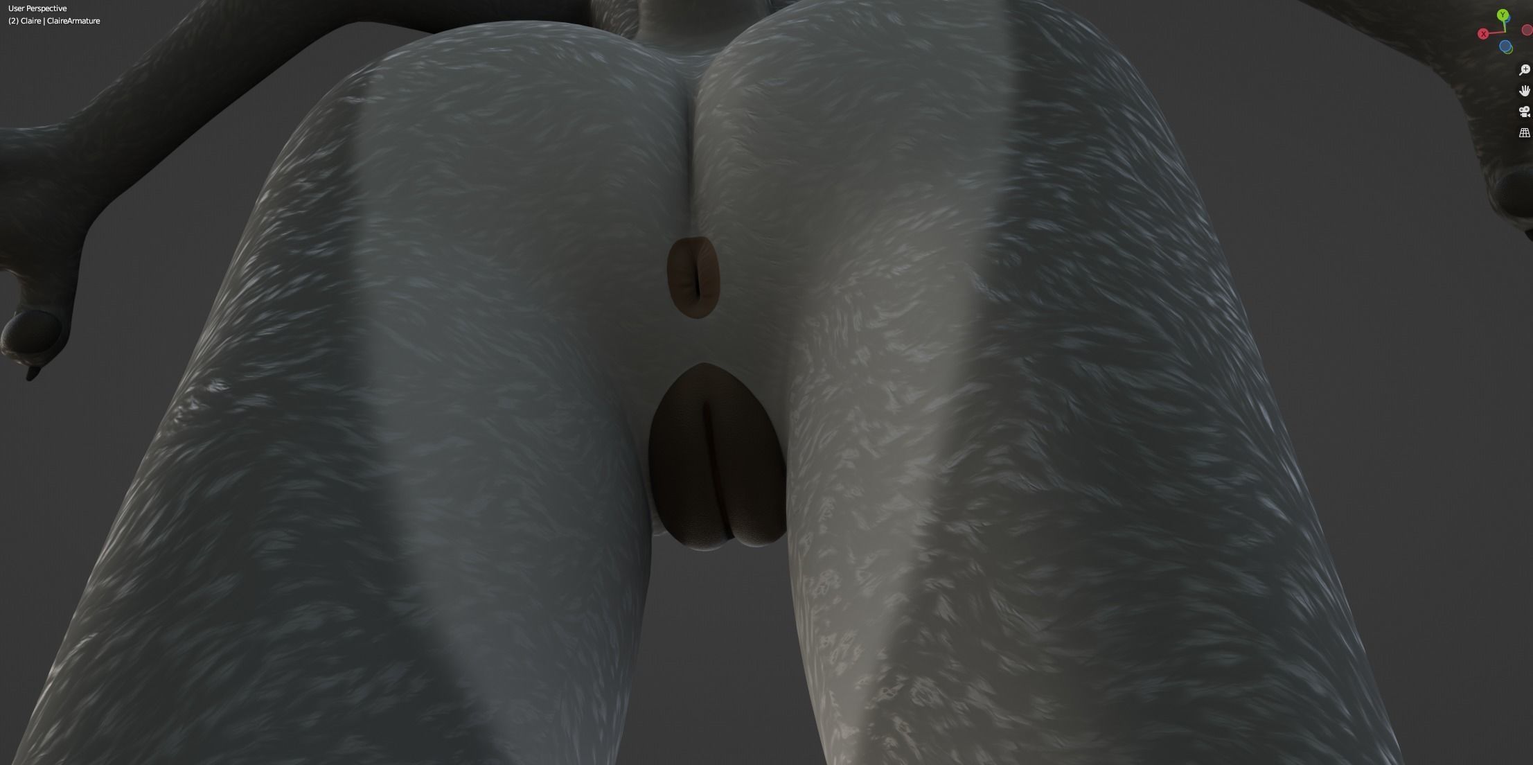 Claire Anthro Wolf 3D model_59