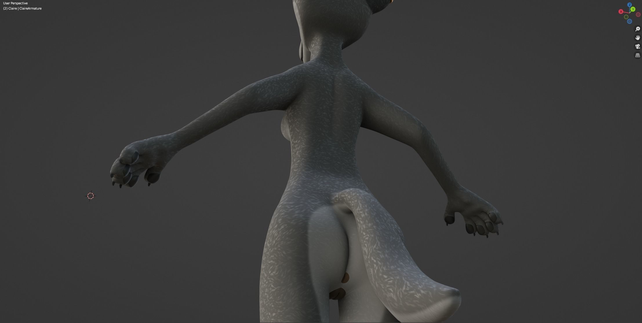 Claire Anthro Wolf 3D model_52