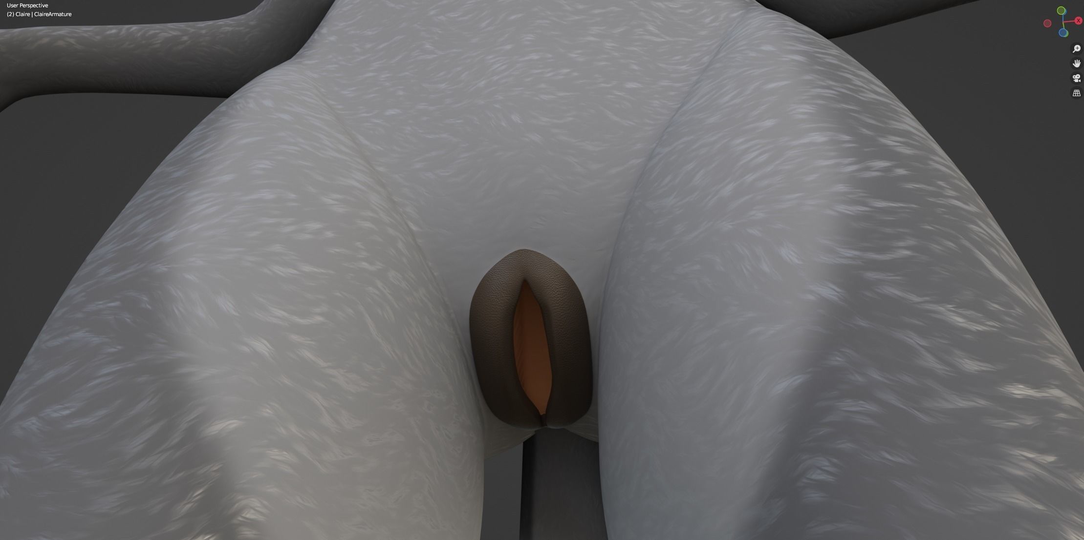 Claire Anthro Wolf 3D model_61