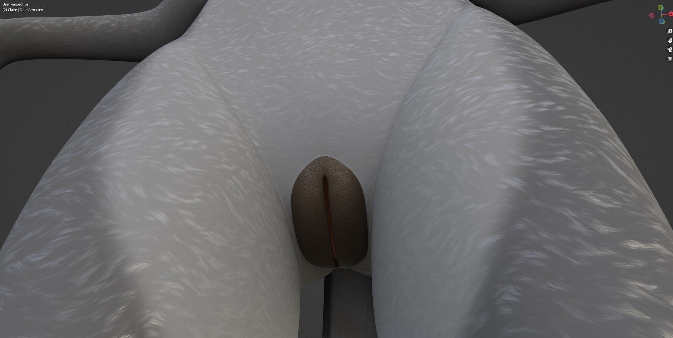 Claire Anthro Wolf 3D model_60