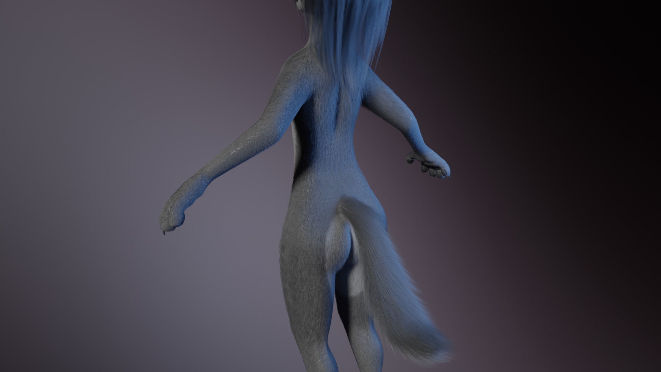 Claire Anthro Wolf 3D model_8