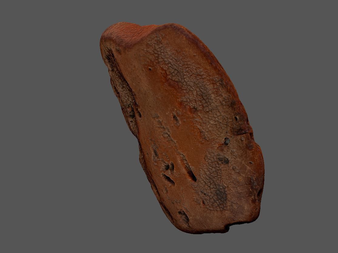 Amber 3d scan Low-poly 3D model_18