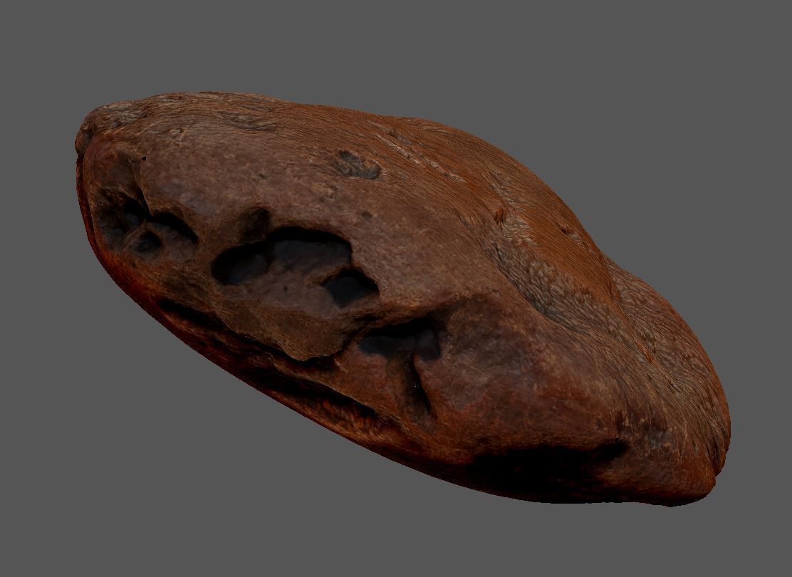 Amber 3d scan Low-poly 3D model_4