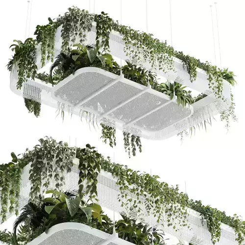 Hanging plants  indoor plant 323 Low-poly 3D model