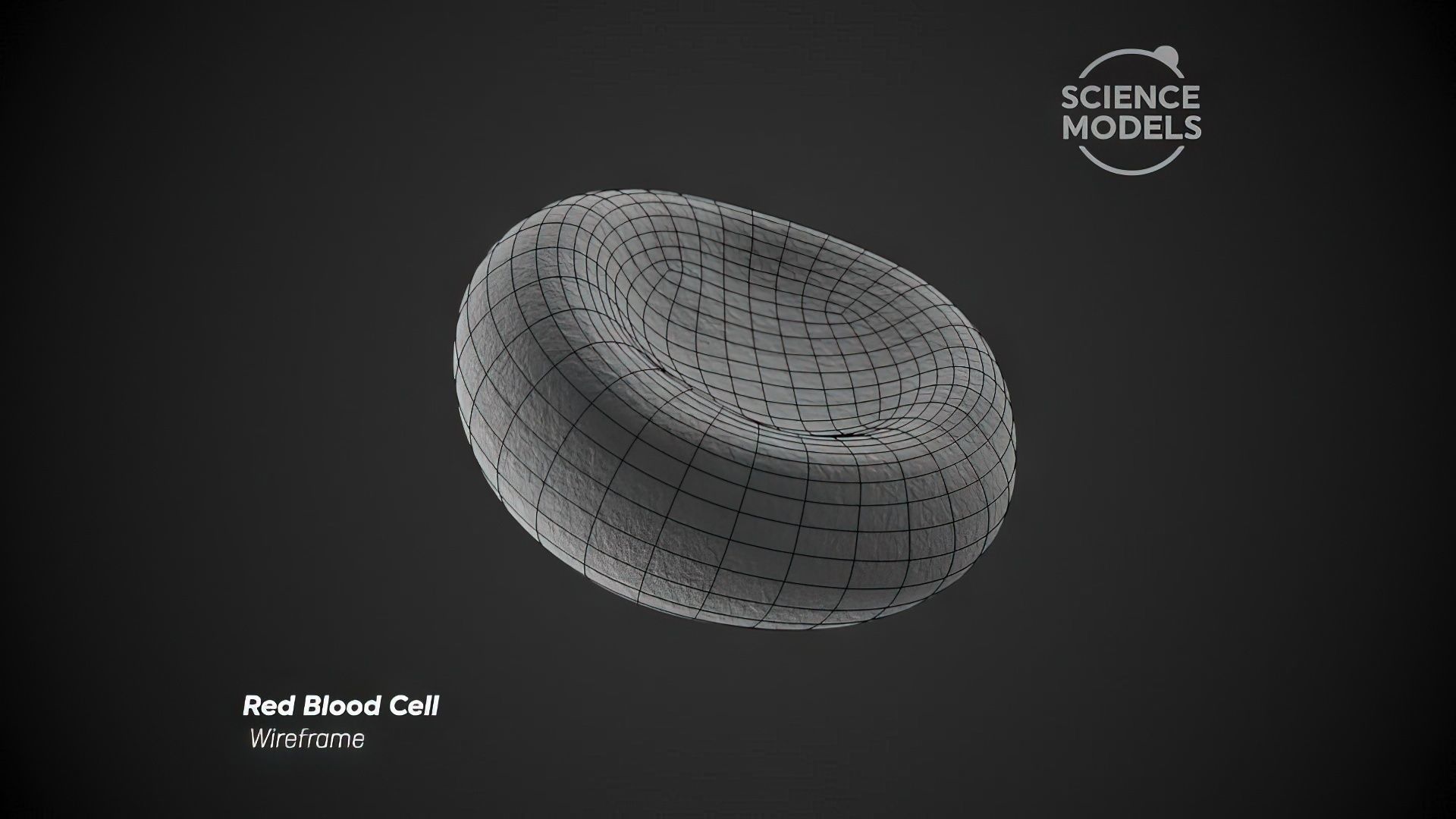 Red Blood Cell Free 3D model_5