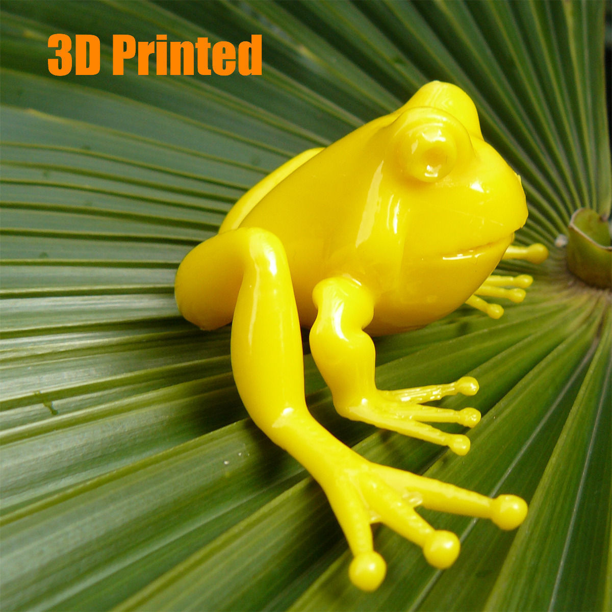 Frogs and Mosquito in a complete cartoon scene Low-poly 3D model_13