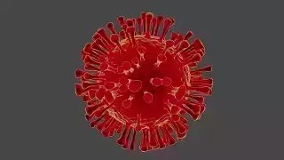 virus coronavirus
