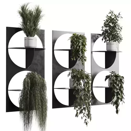 wall plant set Indoor plant 324 plants in on a shelf