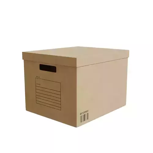 Cardboard Box 3D model