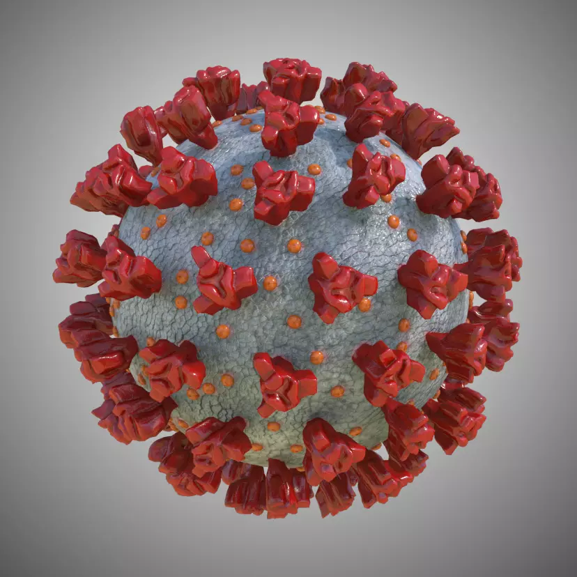 Corona Virus Free 3D model