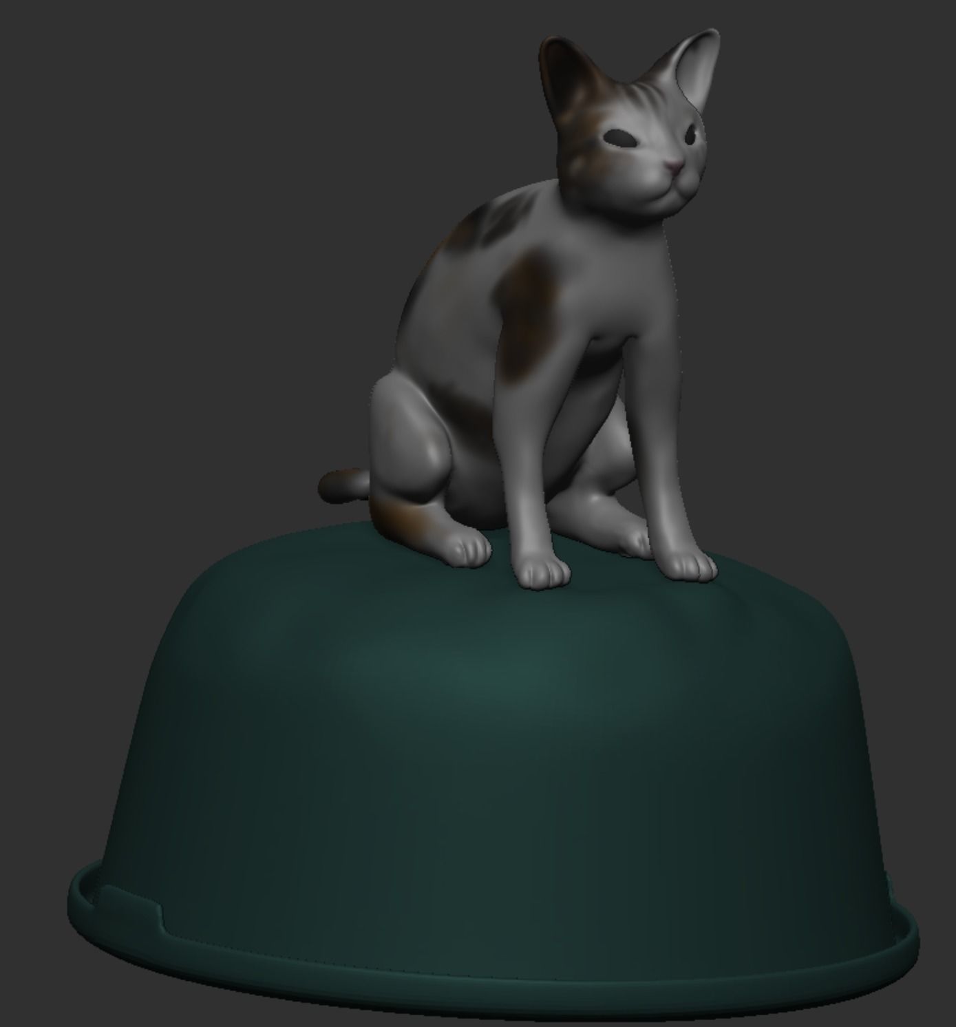 Meme fun CAT  on tazik   figure  basin  3D print model_3