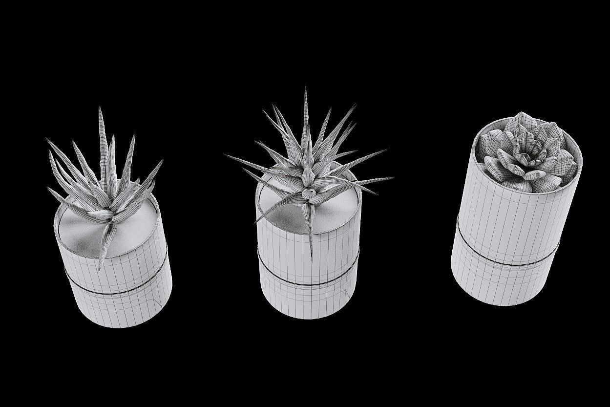 succulent marble planter 3D model_8