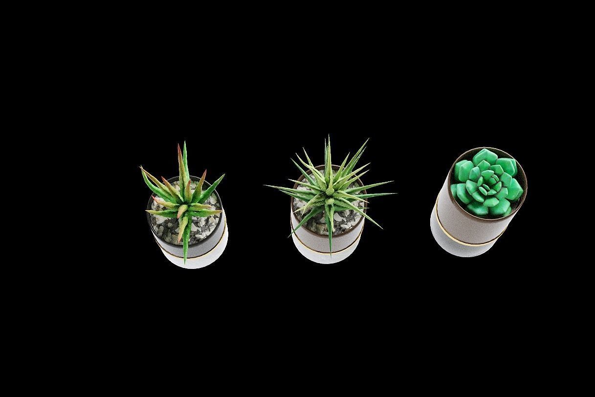 succulent marble planter 3D model_5
