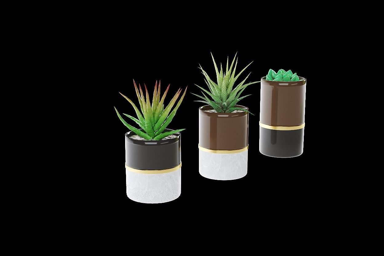 succulent marble planter 3D model_3