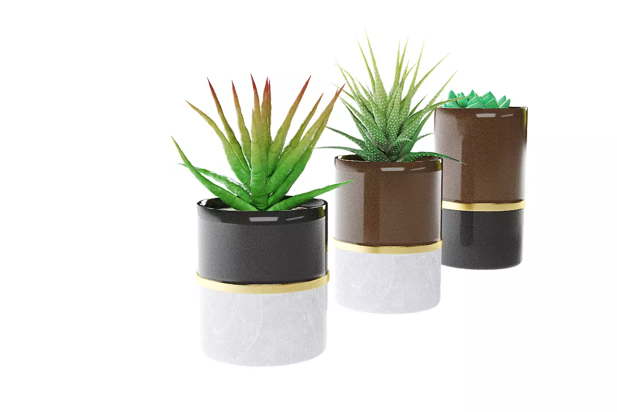 succulent marble planter 3D model_0