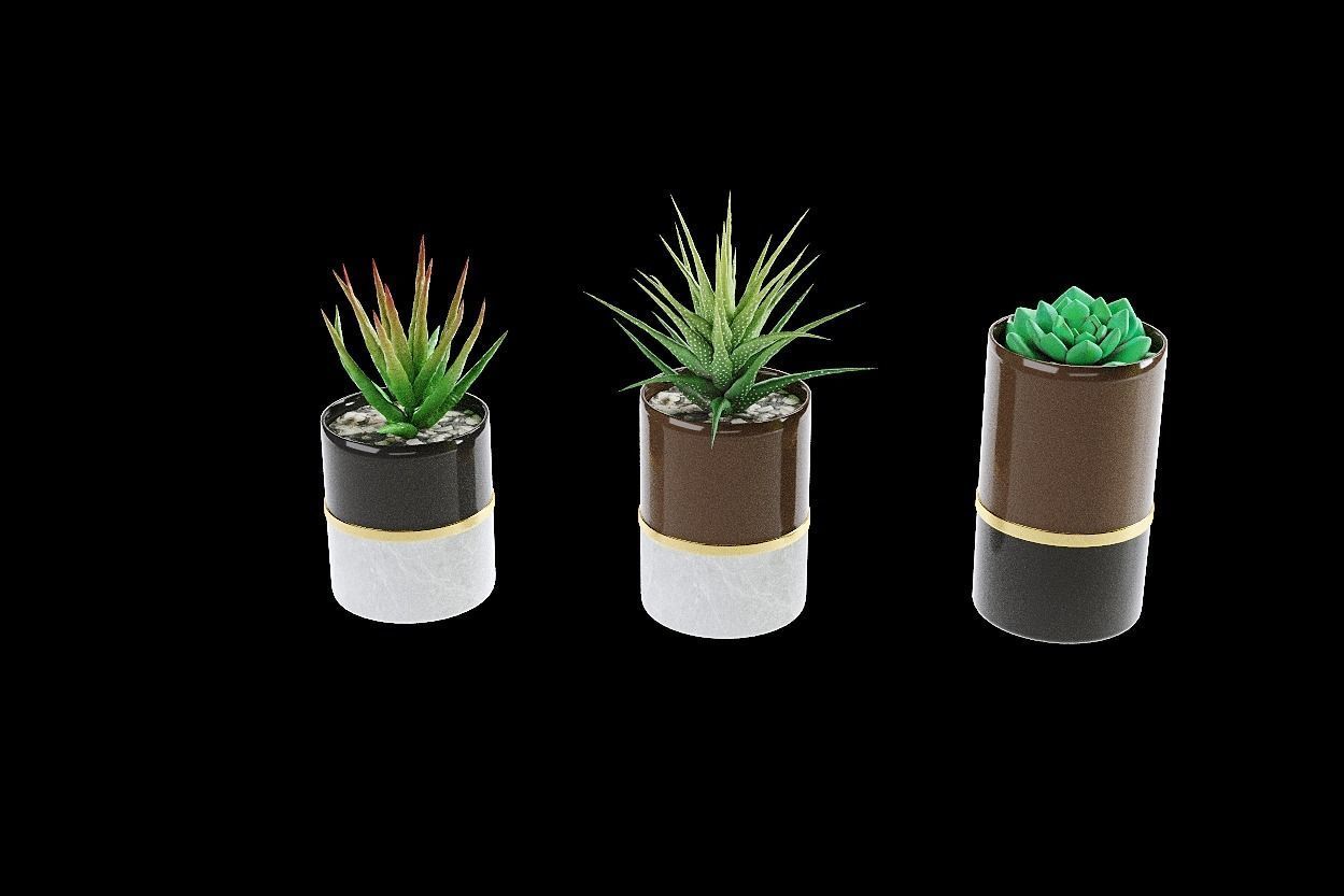 succulent marble planter 3D model_1