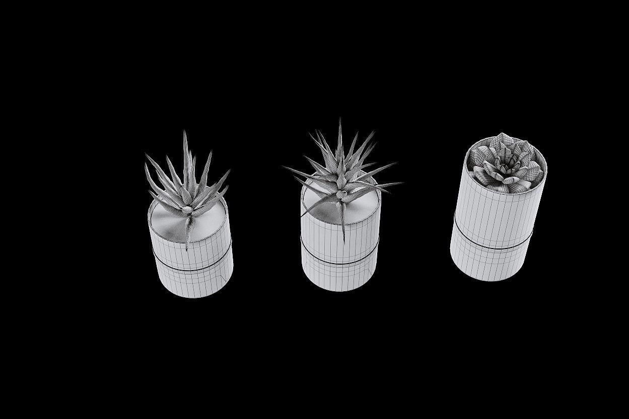 succulent marble planter 3D model_2
