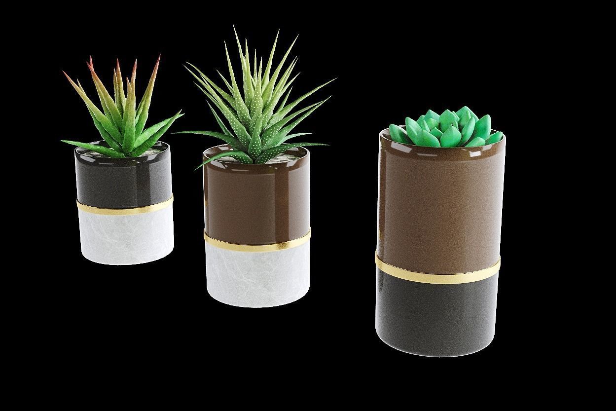 succulent marble planter 3D model_6