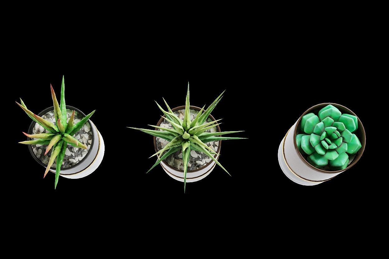 succulent marble planter 3D model_7