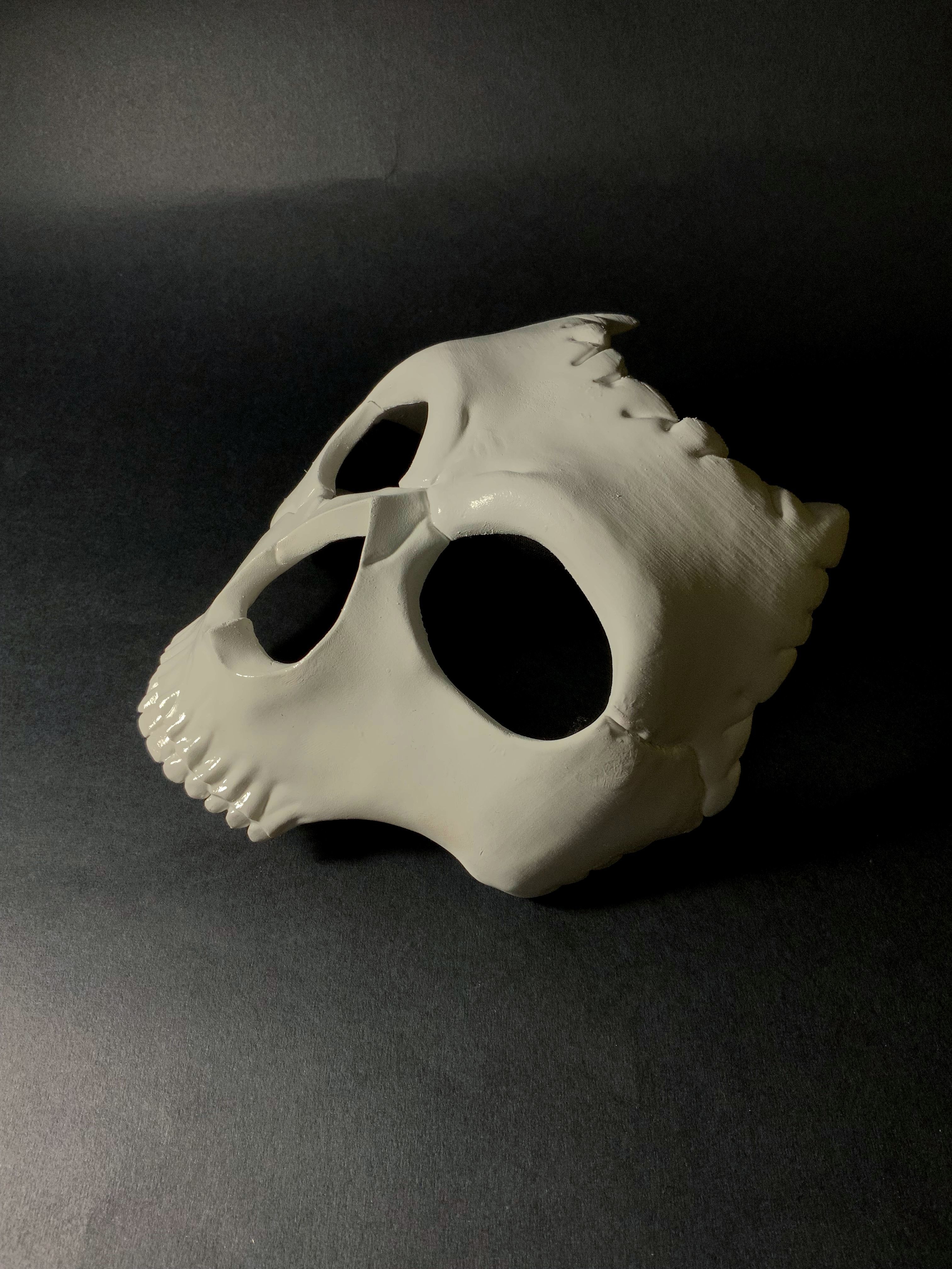 Ghost mask - skull call of duty 3D print model_4