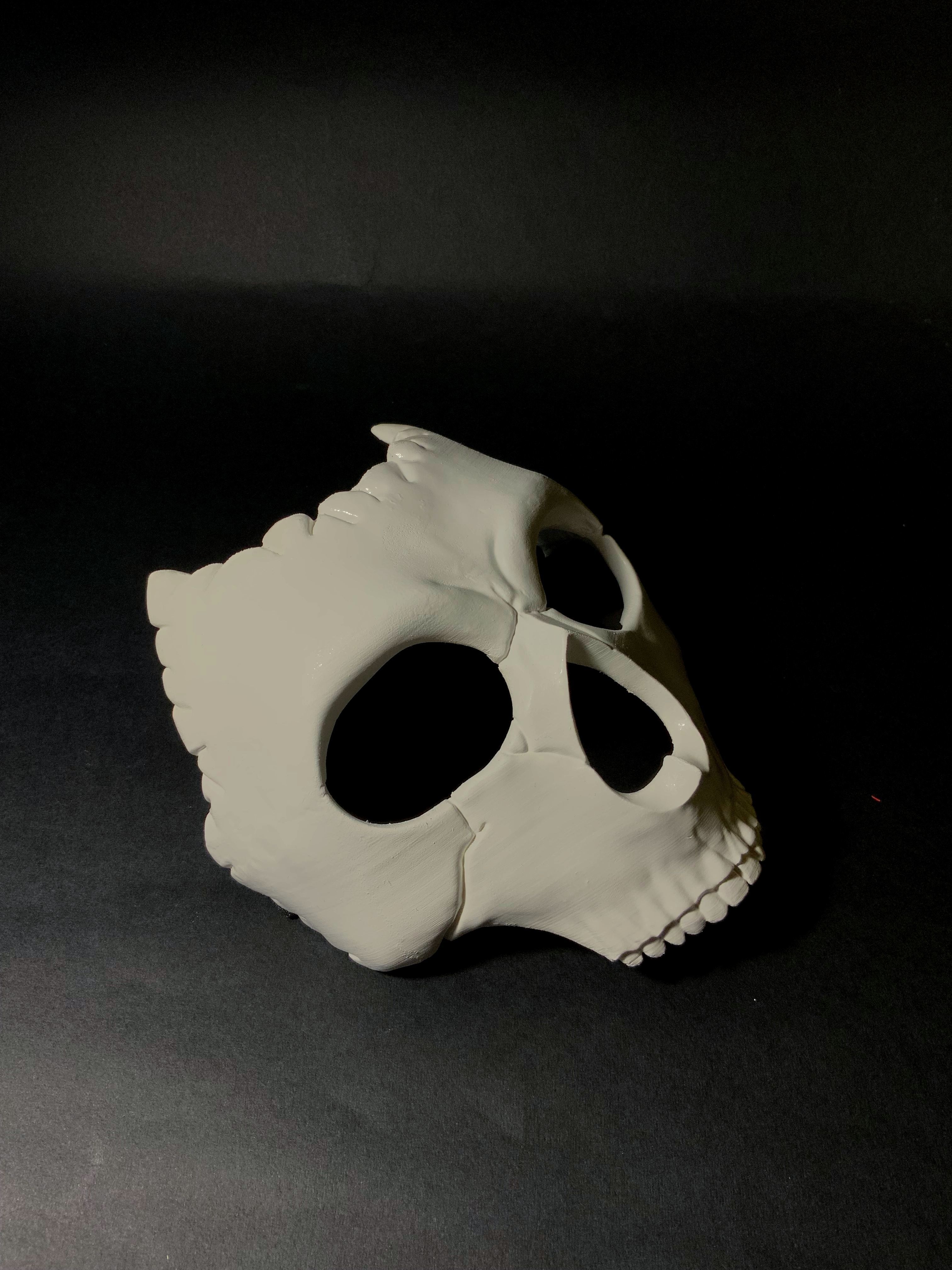 Ghost mask - skull call of duty 3D print model_5