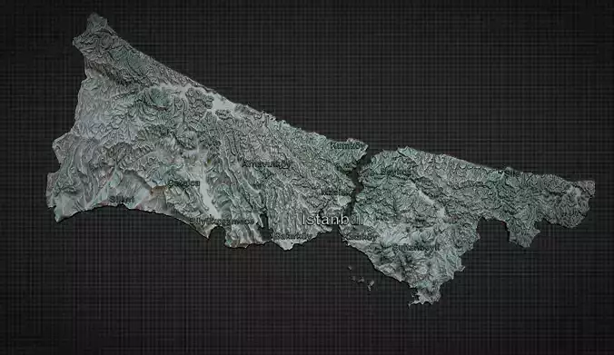 Istanbul City 3d map 3D print model