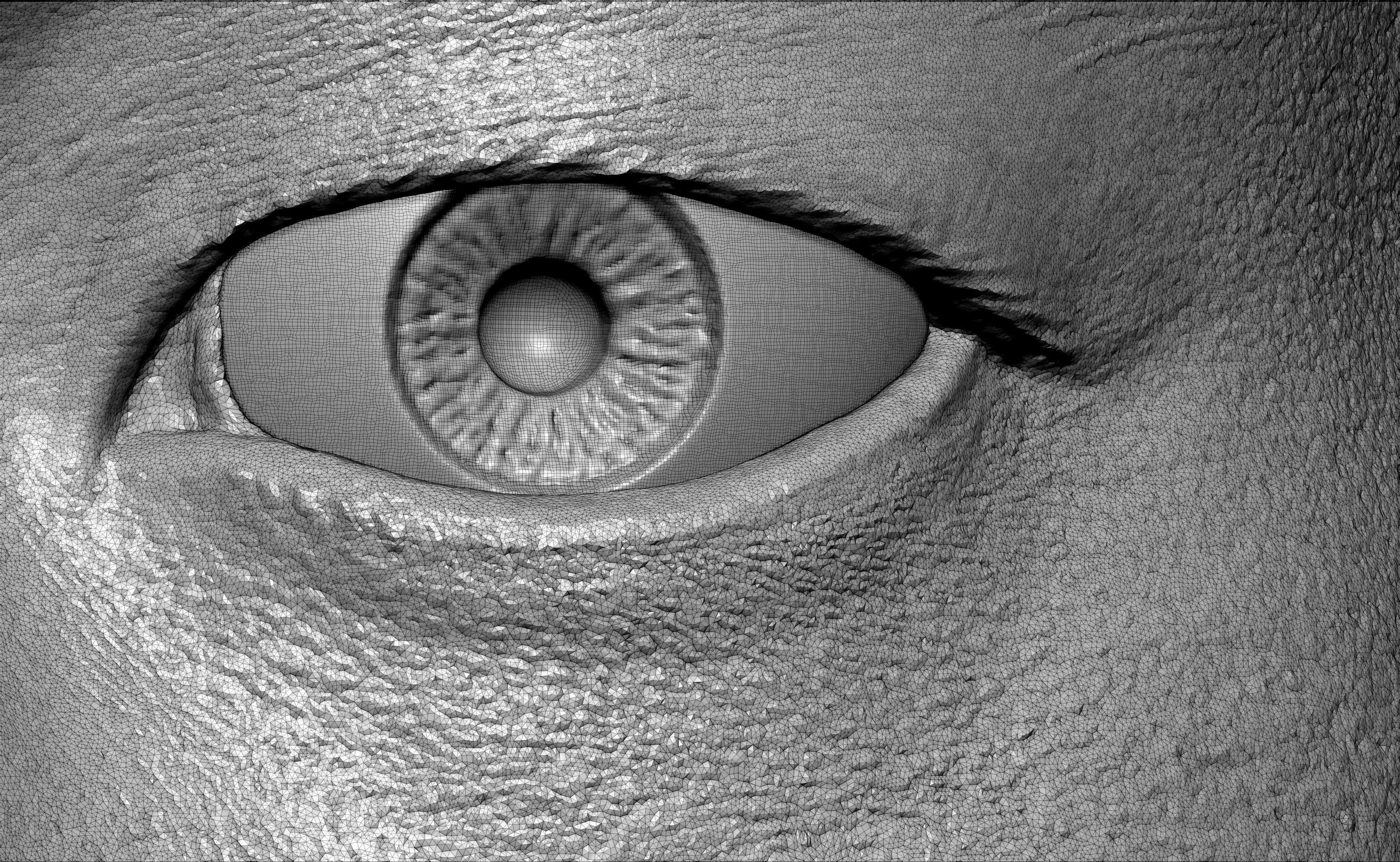 George Takei as Hikaru Sulu Bust Printable 3D Model 3D print model_11