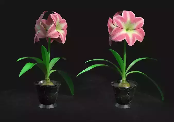 Amaryllis flower in pot Low-poly 3D model