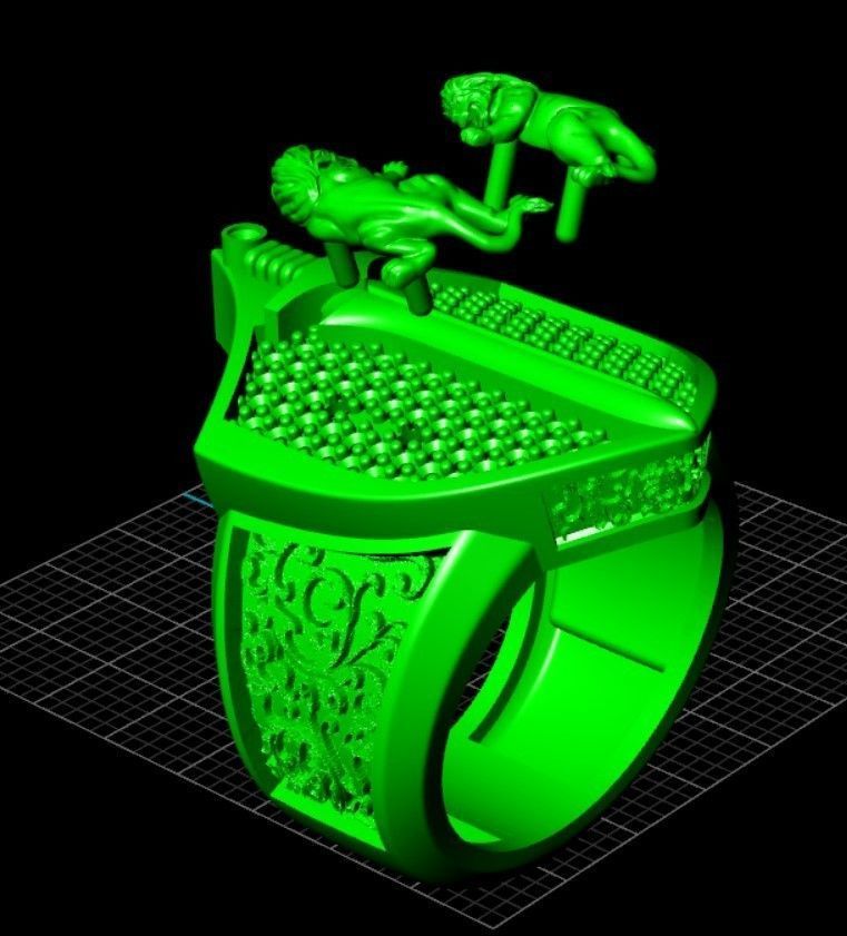 Custom Lion and Sword Rings 3D print model_5