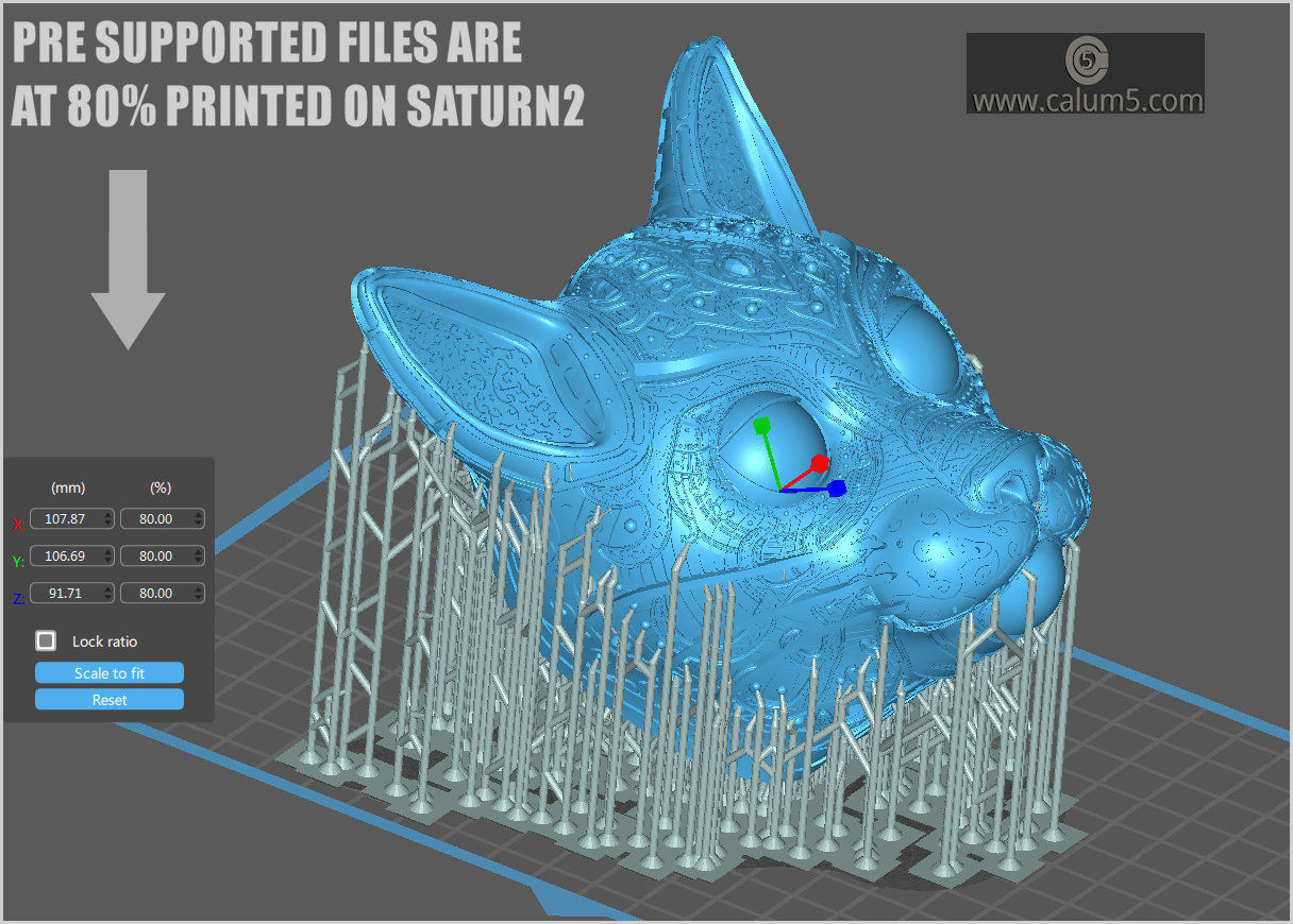 DecoCat cat bust 3D print model_2