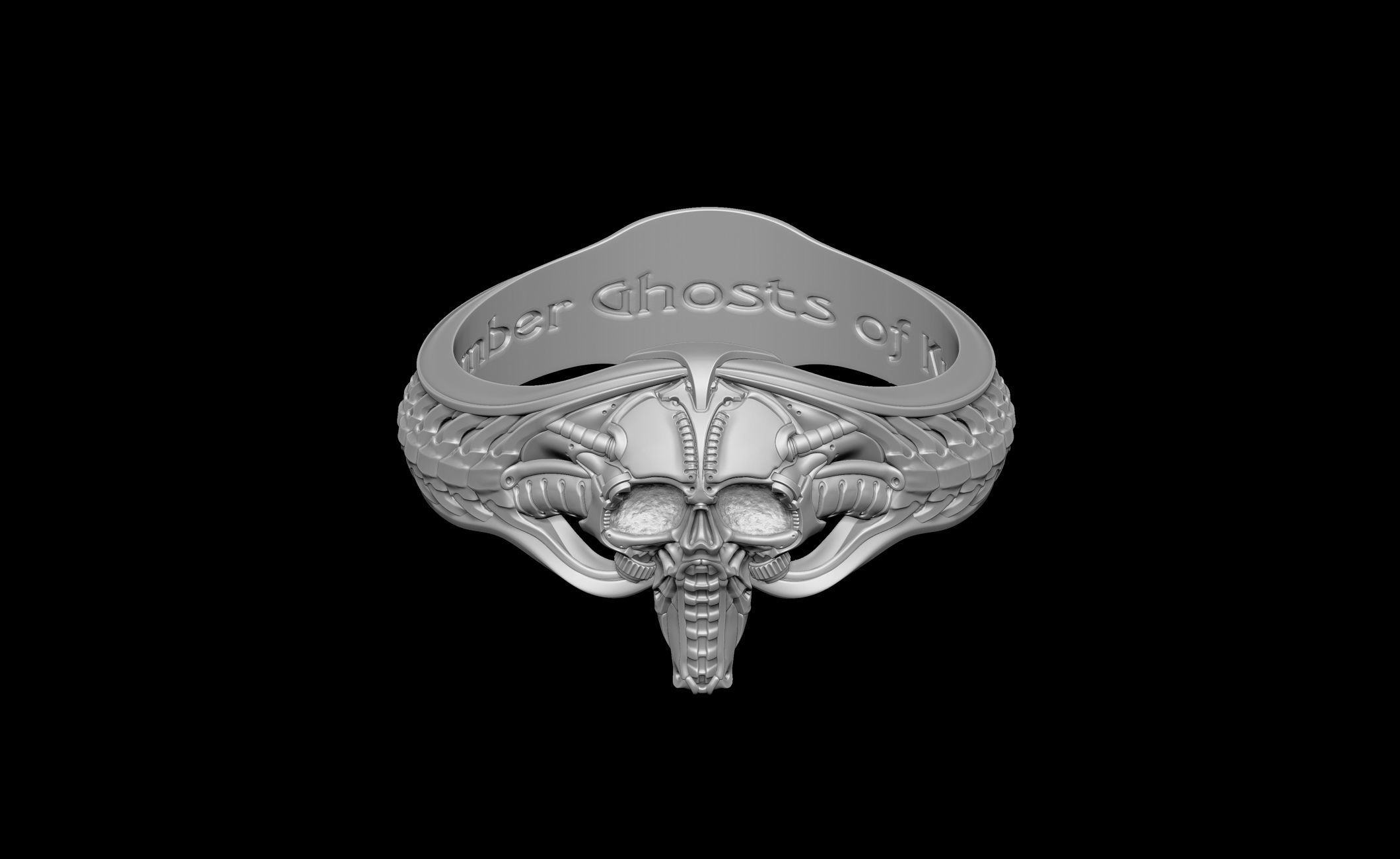 Pilot Skull Biomachanic Ring  3D print model_19