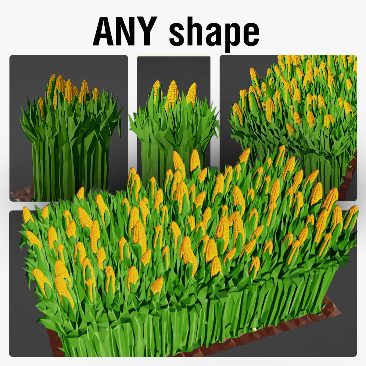 Corn Field 3D print model_1