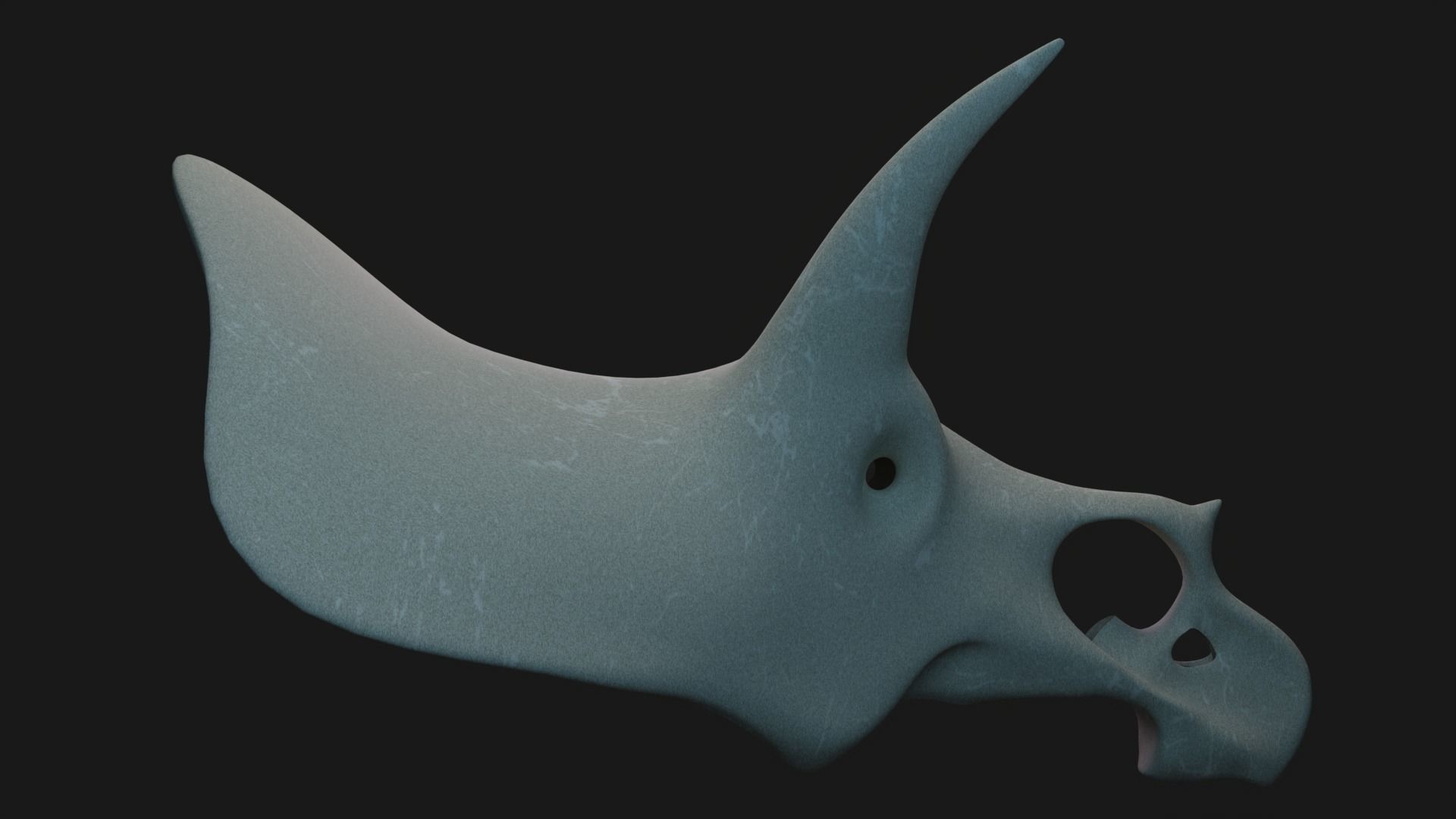 Triceratops skull 3D model_2