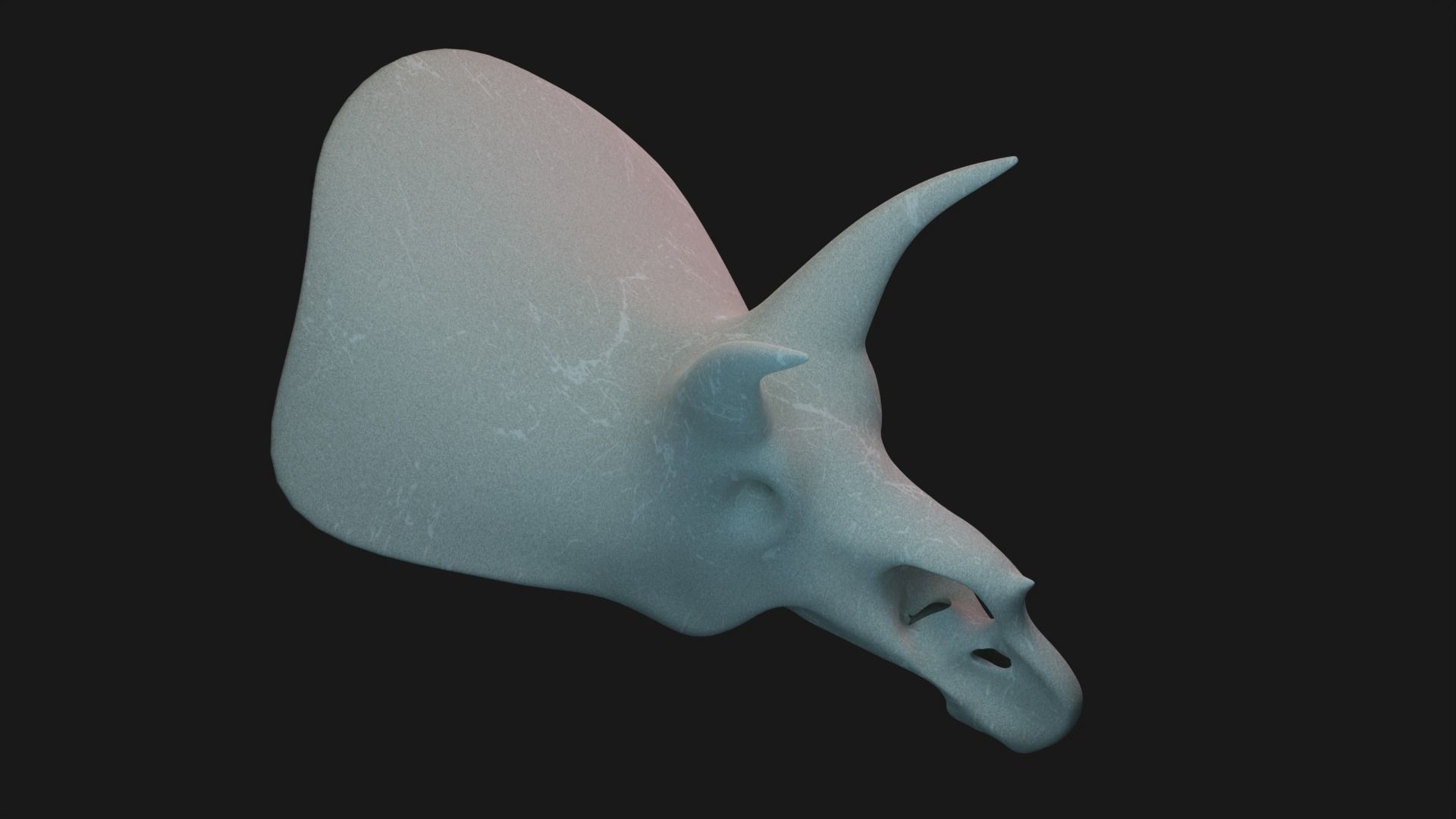 Triceratops skull 3D model_5