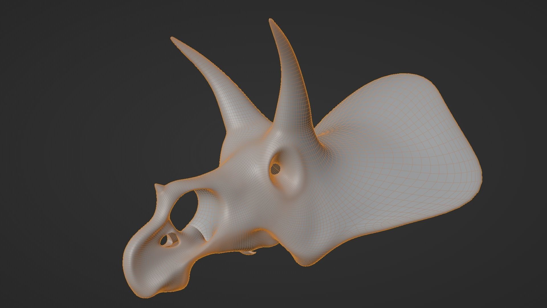 Triceratops skull 3D model_4