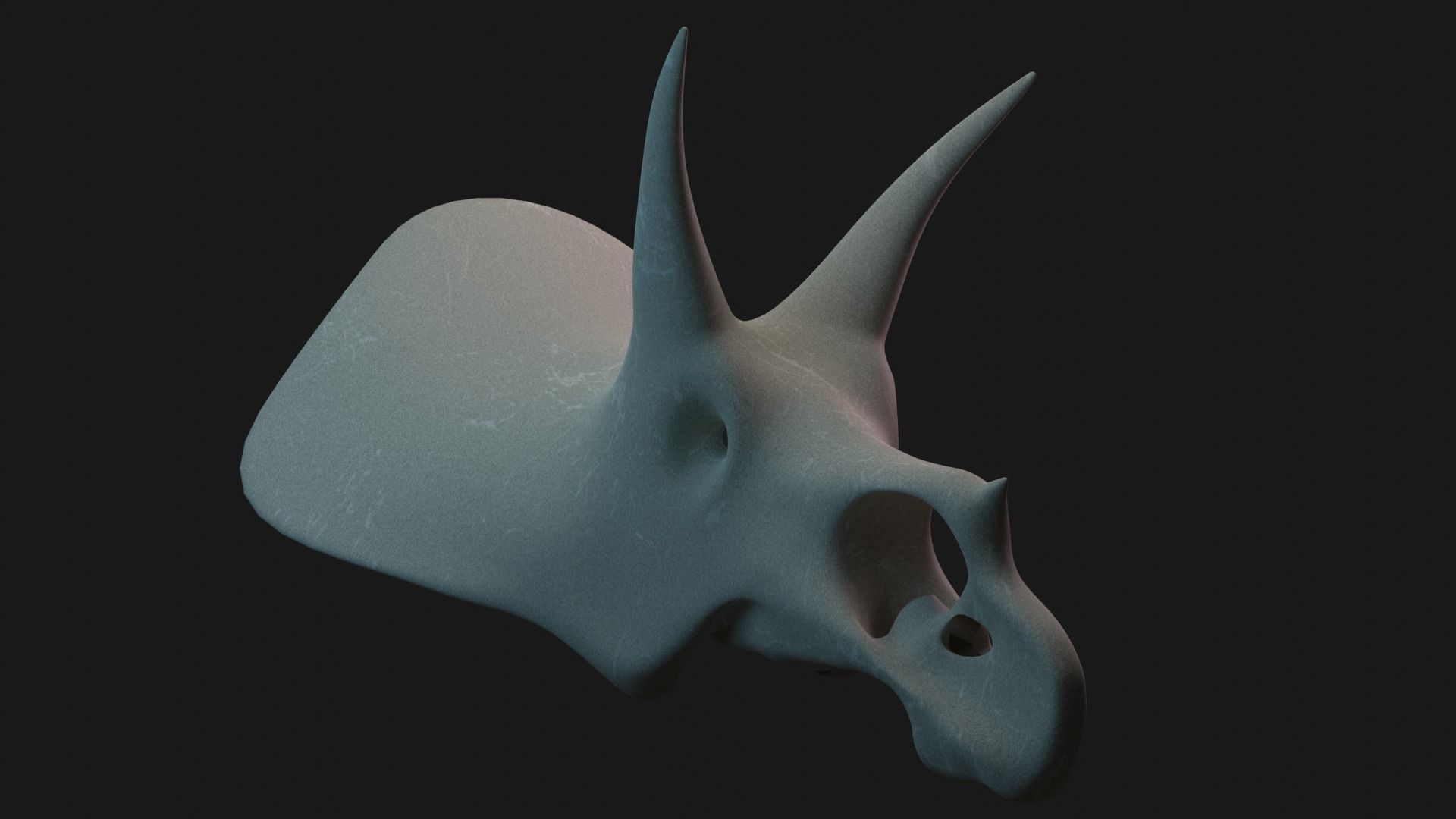 Triceratops skull 3D model_3